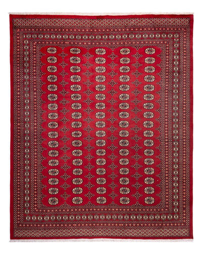 Bukhara Teppe 248x309cm - Orientalsk teppe