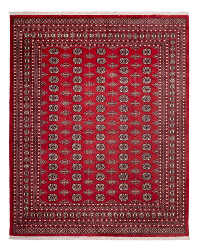 Bukhara Teppe 248x315cm - Orientalsk teppe