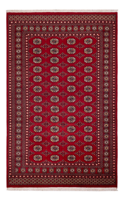 Pakistan teppe 167x256cm - Orientalsk teppe