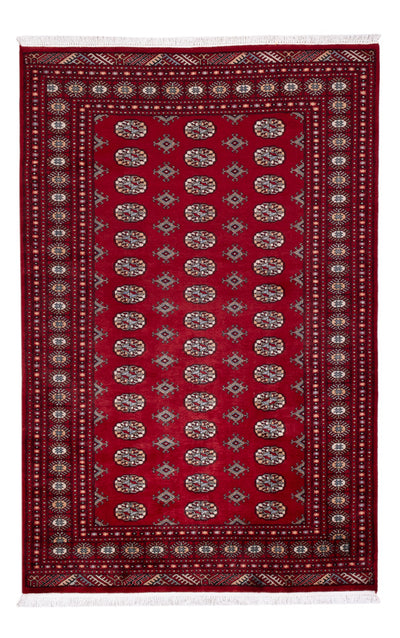 Pakistan teppe 154x241cm - Orientalsk teppe