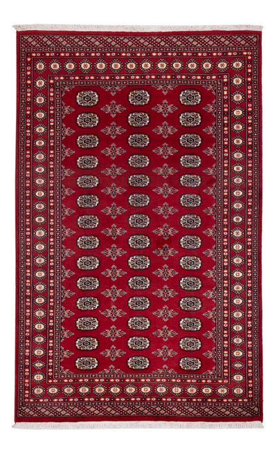 Pakistan teppe 154x244cm - Orientalsk teppe