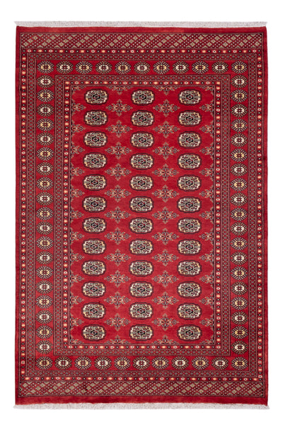 Pakistan teppe 158x237cm - Orientalsk teppe