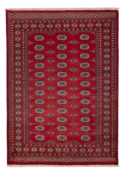 Pakistan teppe 171x240cm - Orientalsk teppe