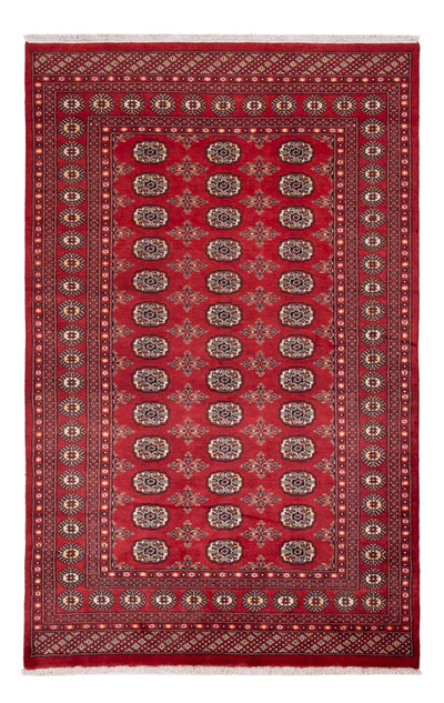 Pakistan teppe 159x250cm - Orientalsk teppe