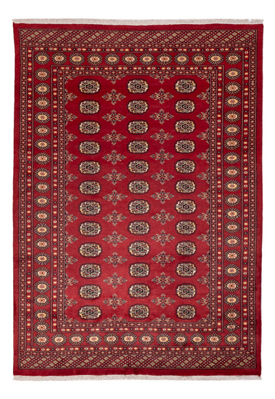 Pakistan teppe 170x245cm - Orientalsk teppe