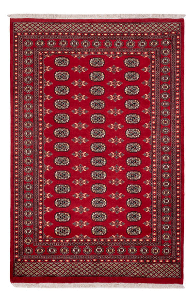 Pakistan teppe 179x258cm - Orientalsk teppe