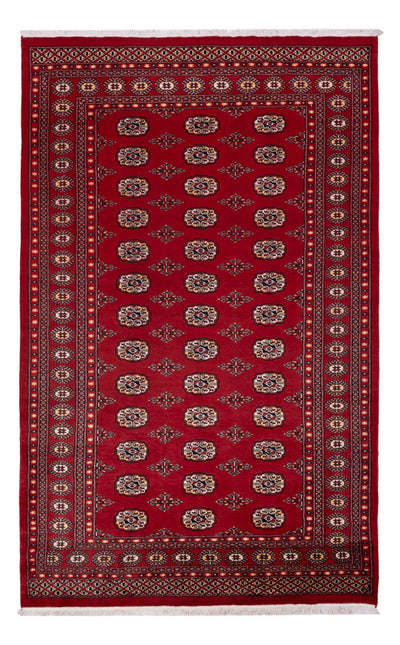 Pakistan teppe 167x266cm - Orientalsk teppe