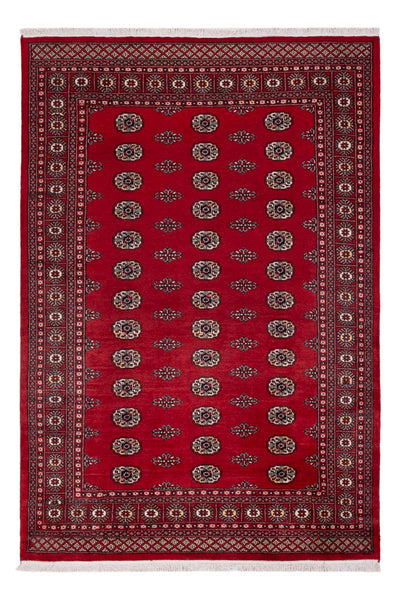 Pakistan teppe 164x239cm - Orientalsk teppe
