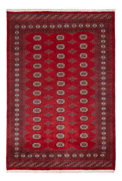 Pakistan teppe 165x235cm - Orientalsk teppe