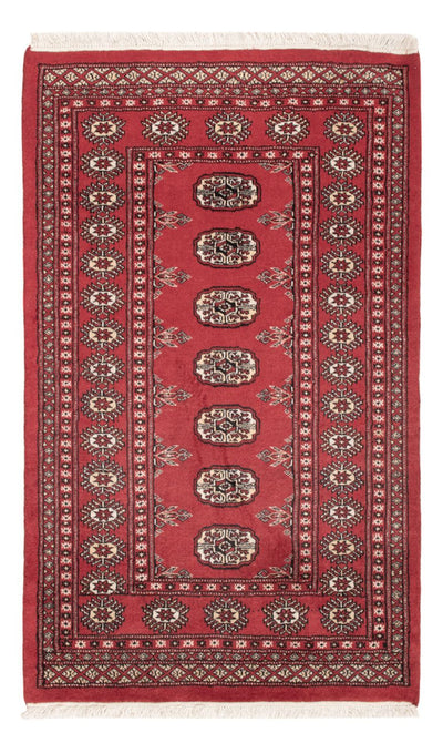 Pakistan teppe 90x150cm - Orientalsk teppe