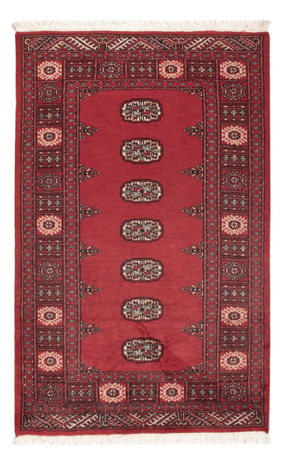 Pakistan teppe 92x151cm - Orientalsk teppe