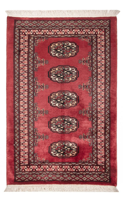 Pakistan teppe 80x120cm - Orientalsk teppe