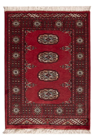 Pakistan teppe 64x85cm - Orientalsk teppe