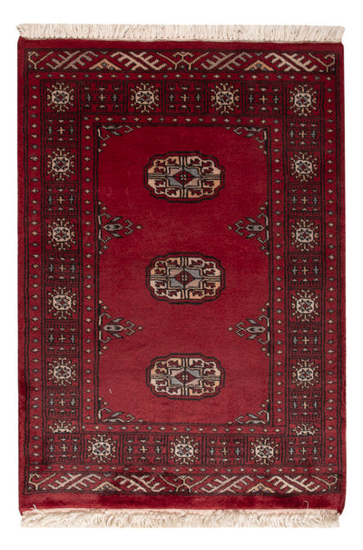 Pakistan teppe 64x88cm - Orientalsk teppe