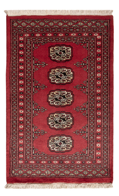 Pakistan teppe 63x98cm - Orientalsk teppe