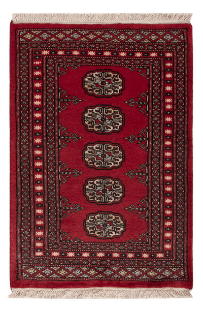 Pakistan teppe 64x92cm - Orientalsk teppe