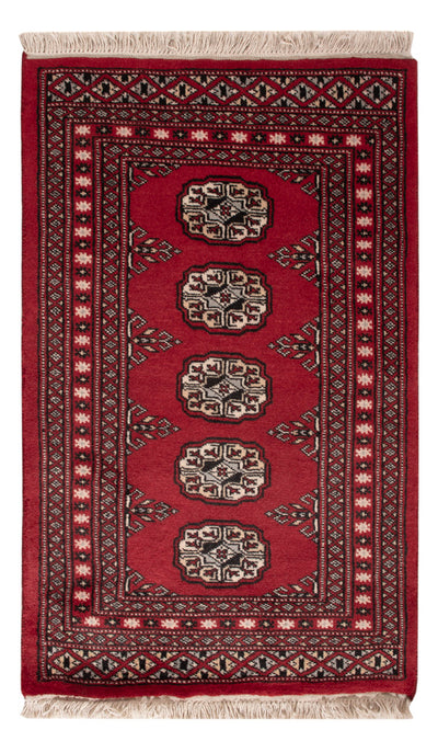 Pakistan teppe 61x97cm - Orientalsk teppe