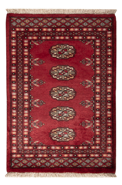 Pakistan teppe 67x95cm - Orientalsk teppe