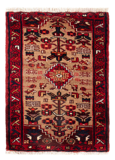 Malayer Teppe 50x66cm - Persisk teppe
