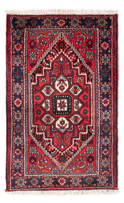 Gholtogh Teppe 48x88cm - Persisk teppe