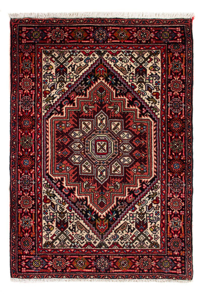 Gholtogh Teppe 52x80cm - Persisk teppe