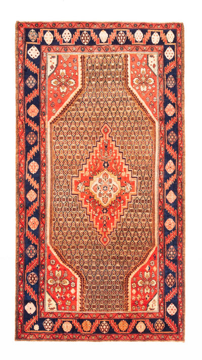 Kolyai Teppe 157x265cm - Persisk teppe