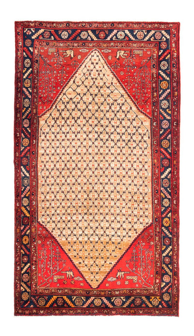 Kolyai Teppe 153x273cm - Persisk teppe