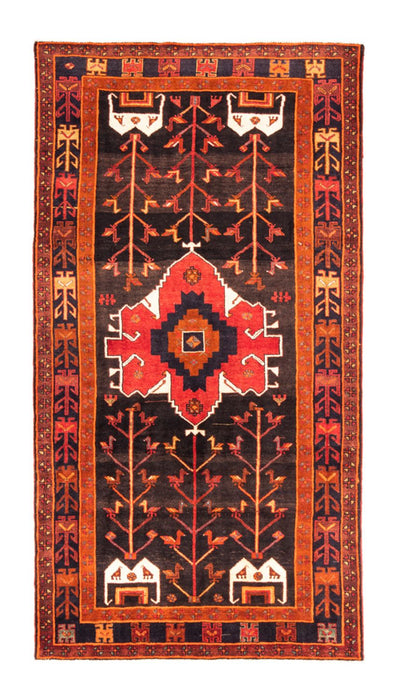 Kolyai Teppe 162x303cm - Persisk teppe
