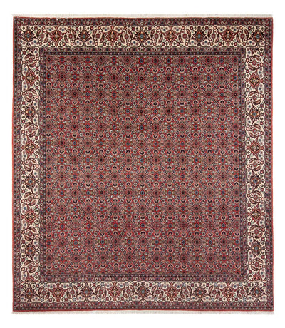 Bidjar - Bukan Teppe 248x296cm - Persisk teppe