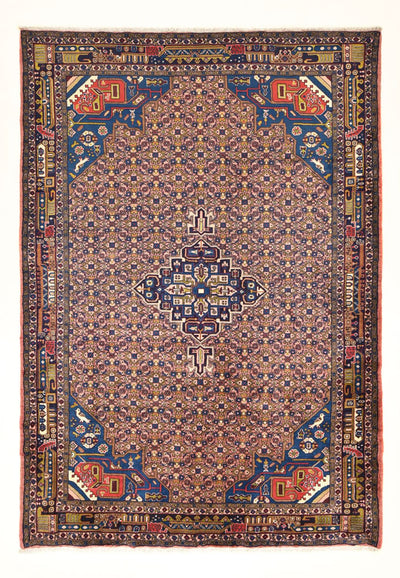 Kolyai Teppe 205x290cm - Persisk teppe