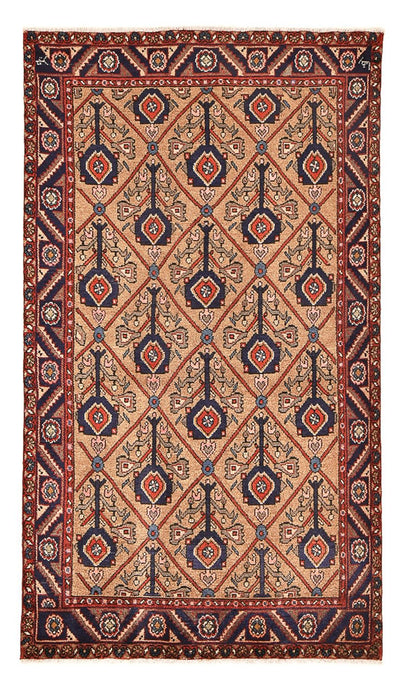 Kolyai Teppe 128x223cm - Persisk teppe