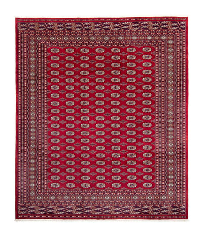Bukhara Teppe 253x303cm - Orientalsk teppe