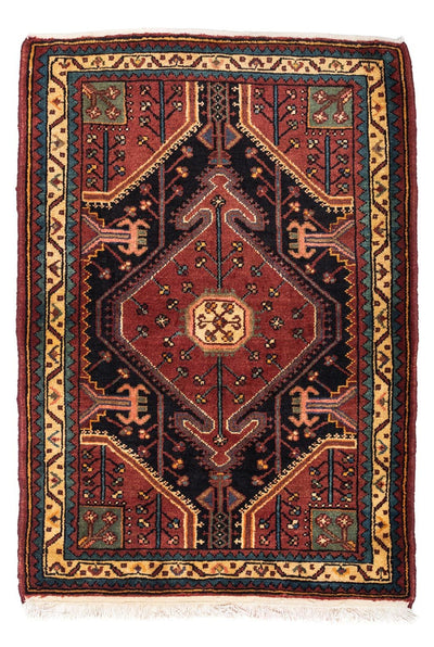 Tuserkan Teppe 92x122cm - Persisk teppe