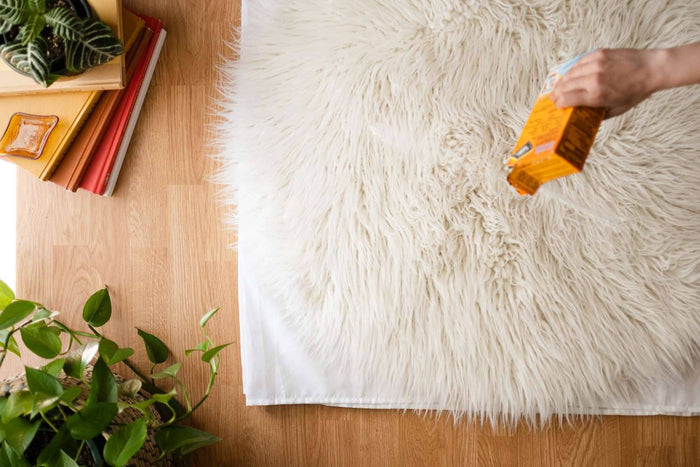 Pflegetipps für Hochflor- und Shaggy Teppiche
