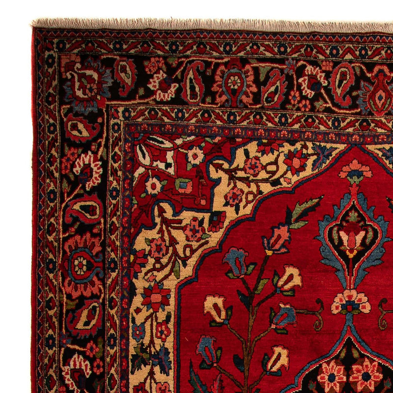 Bakhtiari Teppe 400x228cm - Persisk teppe