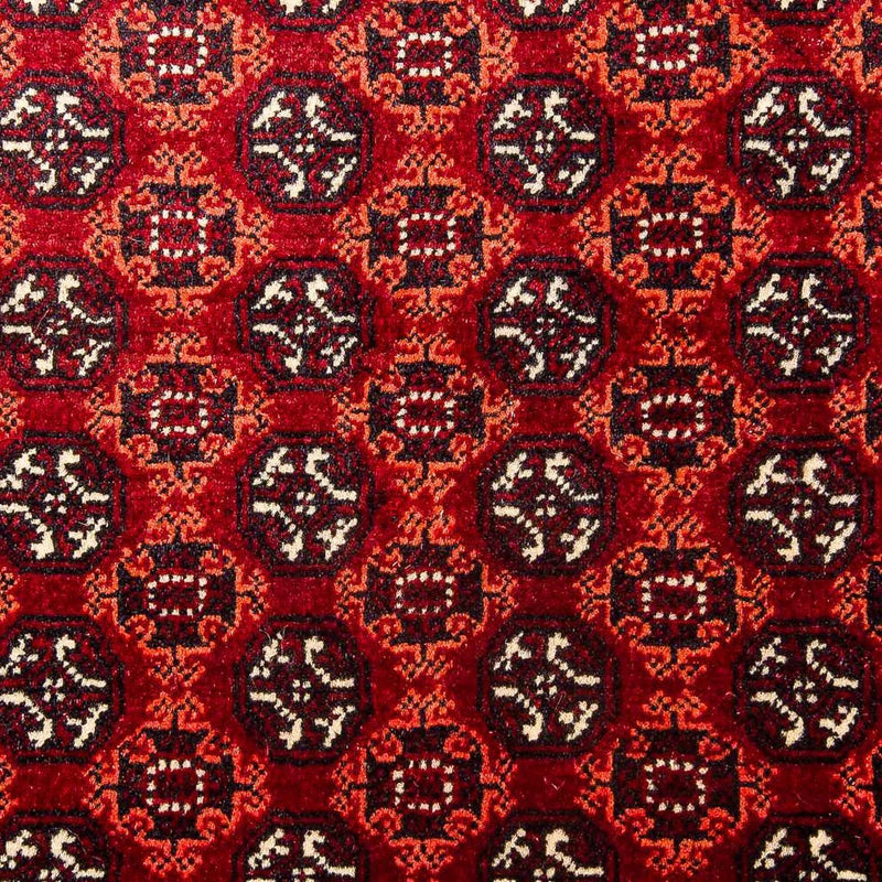 Bukhara Teppe 293x201cm - Orientalsk teppe