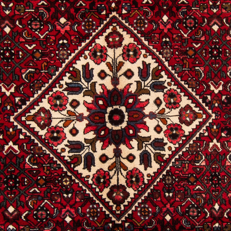 Hamadan Teppe 310x165cm - Persisk teppe
