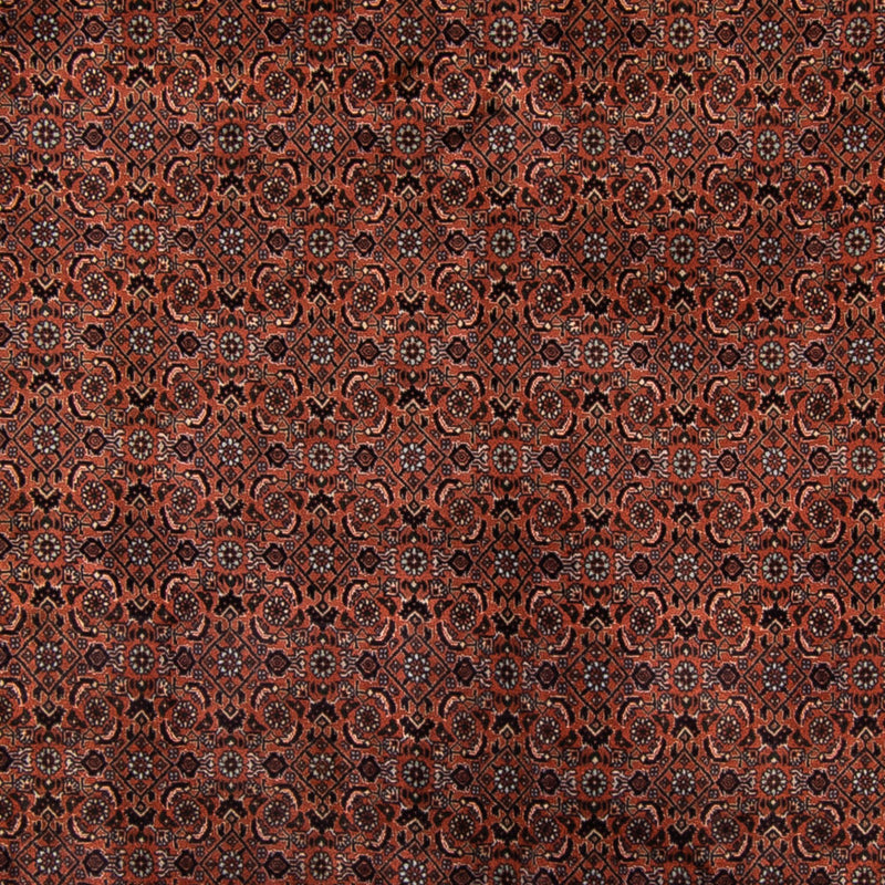 Bidjar Teppe 210x296cm - Persisk teppe