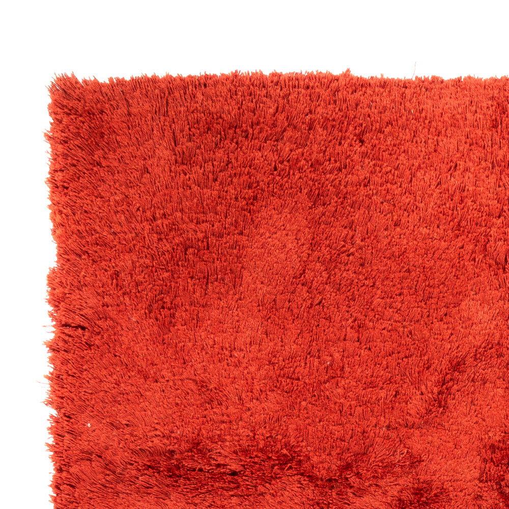 Shaggy Teppe 160x230cm - Shaggy Teppich