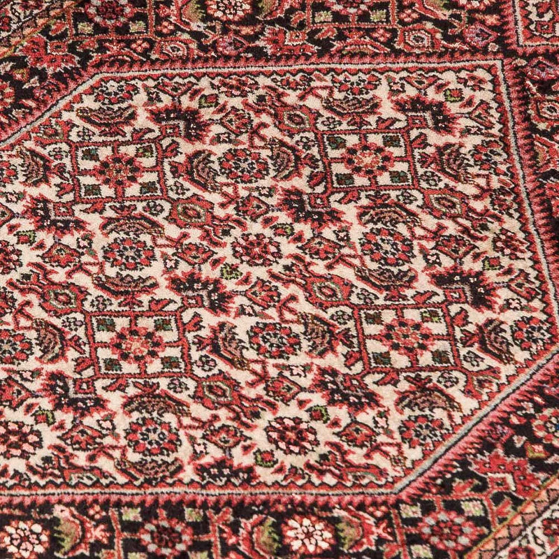 Bidjar - Takab Teppe 246x77cm - Persisk teppe