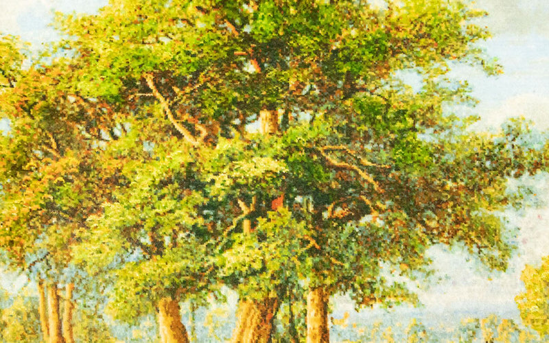 Bilde teppe 116x84cm - Orientalsk teppe