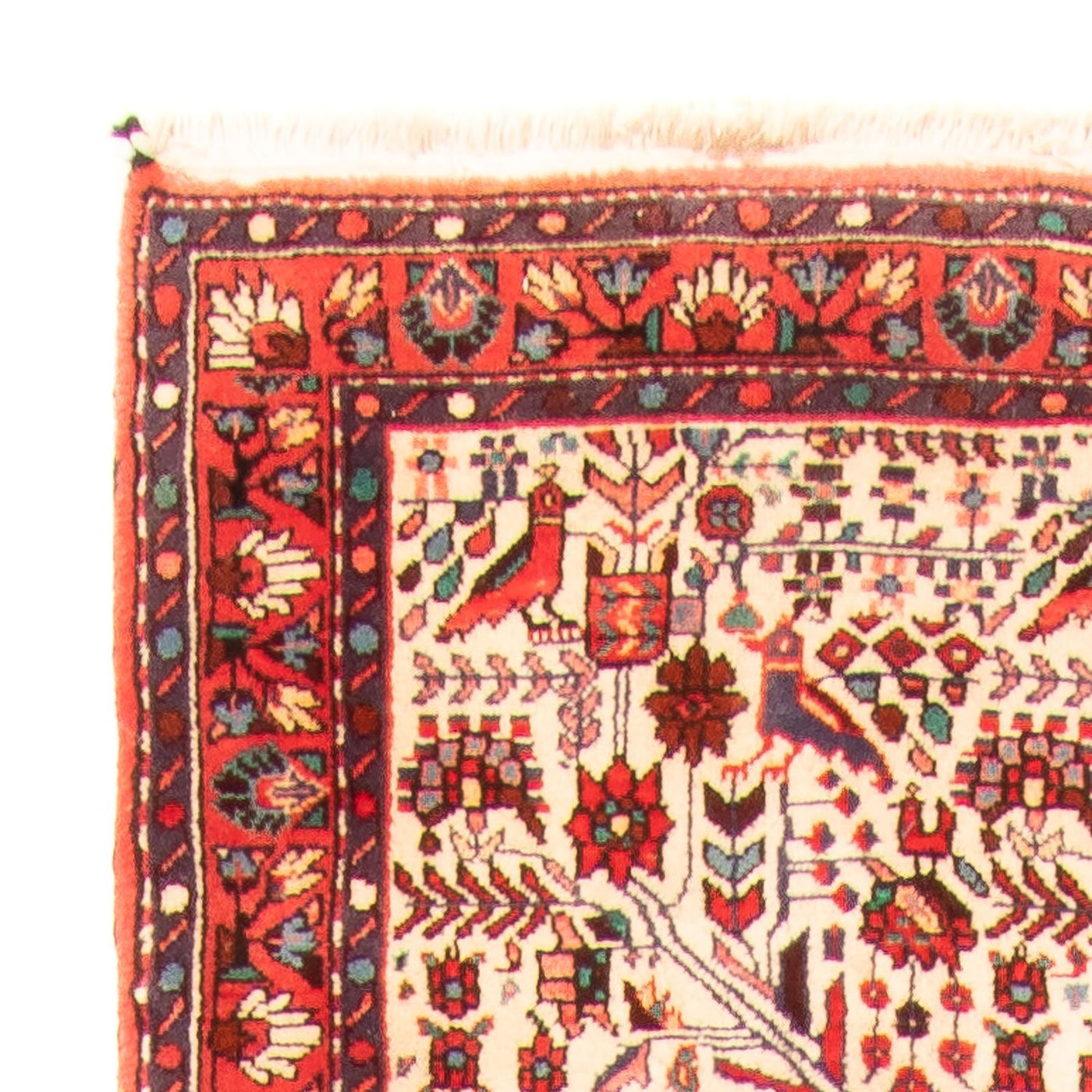 Rudbar Teppe 301x169cm - Persisk teppe
