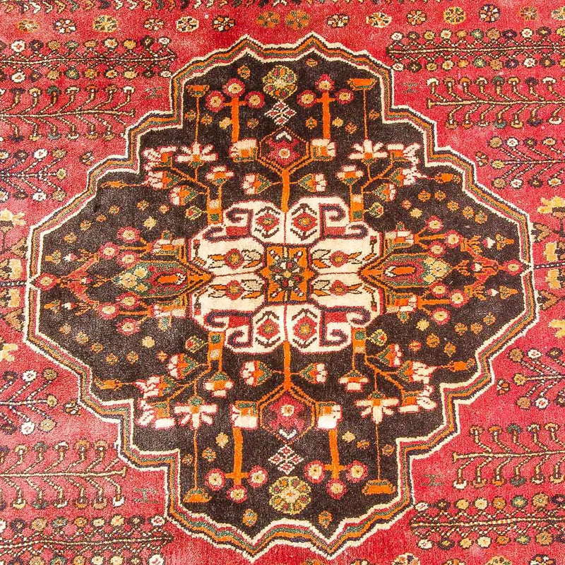 Qashqai Teppe 253x161cm - Persisk teppe