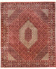 Bidjar - Takab Teppe 310x250cm - Persisk teppe