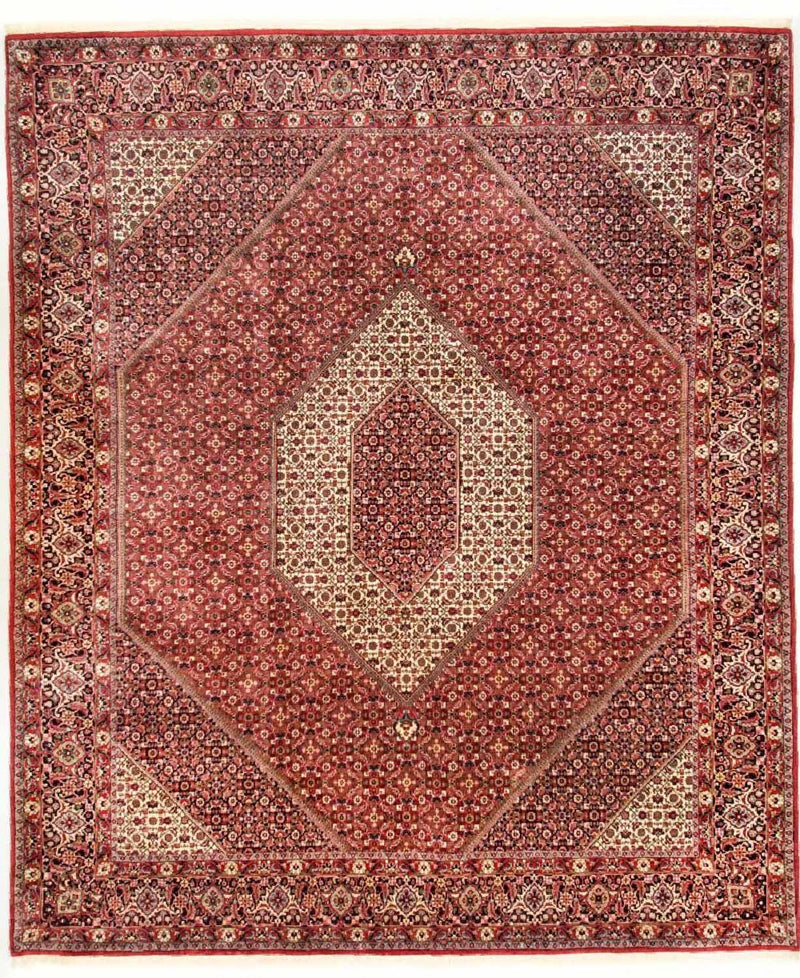 Bidjar - Takab Teppe 310x250cm - Persisk teppe