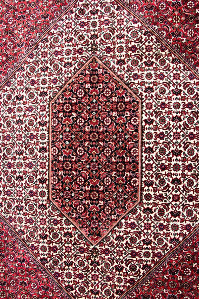 Bidjar - Takab Teppe 310x250cm - Persisk teppe