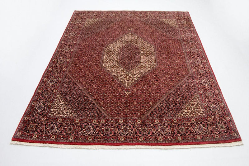 Bidjar - Takab Teppe 310x250cm - Persisk teppe