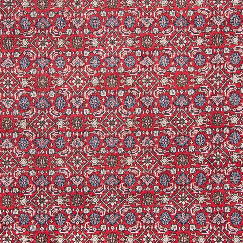 Indo Bidjar Teppe 353x253cm - Orientalsk teppe