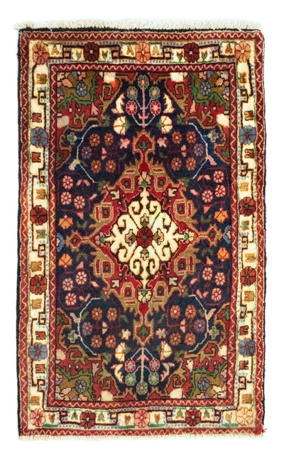 Malayer Teppe 60x100cm - Persisk teppe