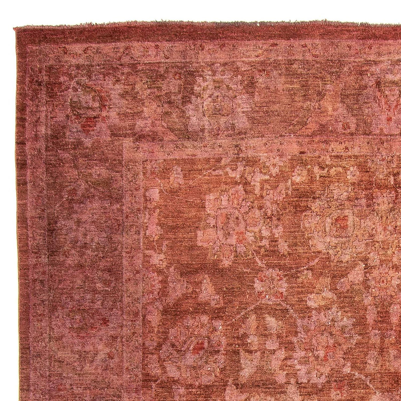 Ziegler Teppe 307x235cm - Orientalsk teppe